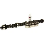 Melling CL-SYB-19 Stock Replacement Camshaft Lifter Kit. Fixed Price $341.54.