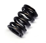Supertech SPR-H1000D/S14 Dual Valve Springs For Bmw E30 M3 S14B20 S14B25. Fixed Price $412.62.
