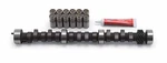 Edelbrock 3790 Performer Plus Cam & Lifters Kit. Fixed Price $326.59.