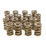 Isky Cams 1.625 Valve Springs - 9955RAD. Fixed Price $644.74.