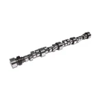 Lunati High Efficiency Camshafts 50254LUN Big Block Chevy Roller Racing. Fixed Price $895.00.