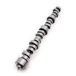 Texas Speed Stage Camshaft For 2003-2008 5.7L / 2005-2010 6.1L Hemi (nonvvt). Fixed Price $449.00.