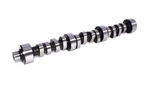 Comp Engine Camshaft - Xtreme Energy 201/205 Hydraulic Roller For Gm 38. Fixed Price $632.69.