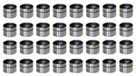 Land Rover 32X Hydraulic Lifters - Intake/exhaust Valves Ina LGR000010. Fixed Price $1286.00.