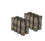 Brian Tooley Racing Delphi LS7 Lifters (16) X12499225-16. Fixed Price $231.89.
