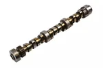 Genuine Gm Engine Camshaft New Oem 12596567. Fixed Price $288.39.