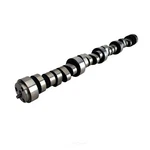 Engine CAMSHAFT-210/218 Duration .050; 1,200-5,200 Rpm; Hydraulic Roller;. Fixed Price $670.49.