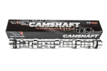 Brian Tooley Racing Btr Stage Turbo Camshaft - Chevrolet Ls 4.8L 5.3L 6.0L. Fixed Price $409.99.