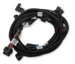 558-125 Holley Efi Ford Coyote Ti-vct Sub Harness (2013-2017). Fixed Price $409.95.