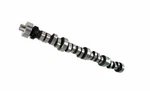 Comp Cams 35-349-8 Sbf 5.0L Xtreme Energy Hyd. Roller XE264HR. Fixed Price $549.95.