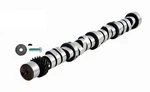 Enginetech ES9565 Camshaft For 1988-1991 Dodge 5.2L Hyd. Fixed Price $241.93.