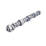 Lunati 20540714 Voodoo Hydraulic Roller Cam Gm Ls Gen Iii/iv 277/283 Duration. Fixed Price $478.95.