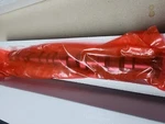 Aulink Camshaft 11311485827... Ne R50 R52 R53 1.6L 2002-2008. Fixed Price $47.95.