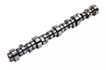 Genuine Acdelco Camshaft 12593206. Fixed Price $329.81.