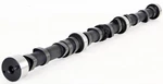 1977-1978 Amc Car 258 4.2L Ohv L6 1BBL Stock Flat Tappet Camshaft. Fixed Price $169.70.