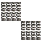 Btr Platinum Valve Spring Kits SK005S. Fixed Price $120.00.