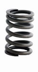 Genuine Enginetech Valve Spring ERV923. Fixed Price $18.40.