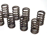 Brian Crower BC1200 Valve Springs For 1995-1998 Nissan 200SX SR20DE(T). Fixed Price $102.95.