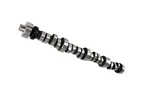 Comp Blower And Turbo Camshaft Hydraulic Roller Ford 289 302 351W 353128. Fixed Price $549.95.