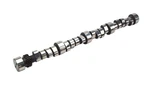 Comp Engine Camshaft Tri-power Xtreme 210/218 Hydraulic Roller For Gm. Fixed Price $668.34.