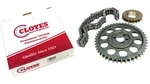 Cloyes Double Roller Timing Chain Set 1955 - 1985 Chevrolet Sbc 283 327 350 400. Fixed Price $39.82.