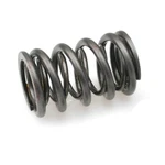 Brian Crower BC1040 Valve Spring (honda/acura K20A2/K20A/K24A2/F20C1/F22C1 Dual). Fixed Price $261.81.