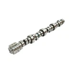 Genuine Mopar Engine Camshaft 53022372AA. Fixed Price $404.80.