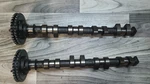 92 93 94 95 Bmw E36 318I M42B18 Cyl Inlet Camshaft Pair Exhaust & Intake. Fixed Price $100.00.