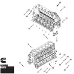 Cylinder Block Hardware Kit 5.9L 24V Cummins Dodge 98-02. Fixed Price $294.80.