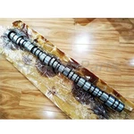 21456239 21198713 New Engine Camshaft Replacement For Mack MP8,VOLVO D13. Fixed Price $1049.00.