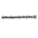 Camshaft .552" Lift 296 Duration For Chevy Camaro Corvette E1841P 1997-2004. Fixed Price $126.16.