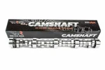 Brian Tooley Racing Btr Stage 4 LS3 Camshaft For Chevrolet Camaro Corvette 6.2L. Fixed Price $409.99.
