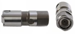 Enginetech L2167-4 Set Of Hydraulic Roller Lifters For 1985-2007. Fixed Price $52.93.