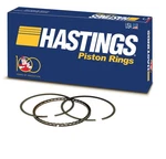Hastings 2C4781 Engine Piston Ring. Fixed Price $103.99.