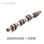 2005-2008 Audi A6 Quattro 4.2L Right Intake / Camshaft 079109101BL. Fixed Price $64.49.