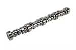 Genuine Acdelco Camshaft 12625439. Fixed Price $389.32.