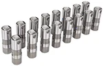 Jegs 20825 Gm Ls Series Hydraulic Roller Lifters For Gen Iii And Iv. Fixed Price $209.99.