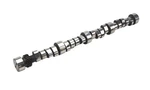 Comp 46-413-9 Xtreme Energy 212/218 Hydraulic Roller Camshaft For Gm. Fixed Price $575.08.