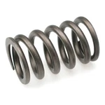 Brian Crower BC1100 Valve Springs Set (16) For Mitsubishi 4G63 Eclipse / Talon. Fixed Price $95.55.