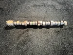 Chrysler 517AC Engine Camshaft For 2022-2024 Ram 2500 6.4L V8 Gas. Fixed Price $209.09.
