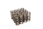 Competition Cams 26113-16 Beehive Performance Street Valve Spring. Fixed Price $314.71.